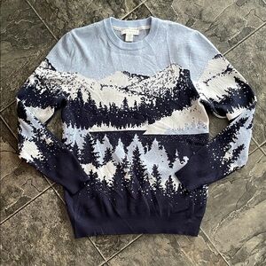 ASPEN Men's Blue White Graphic Mountain Scene Knit Sweater Cottagecore Outdoorsy